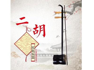 招聘北海二胡家教老师